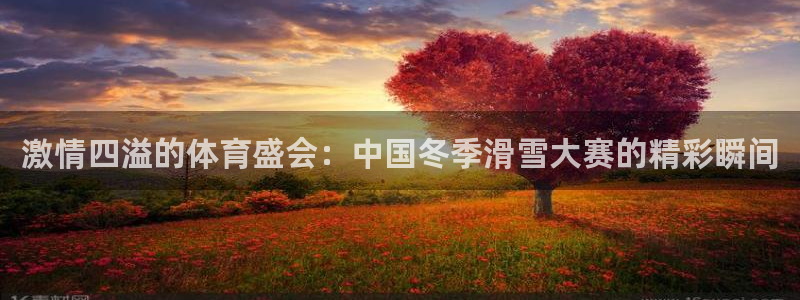 oety欧亿