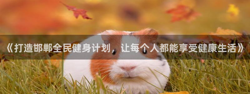 oety欧亿